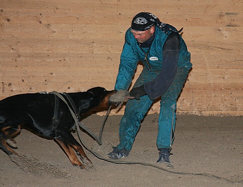 Training in Estonia 3/2007